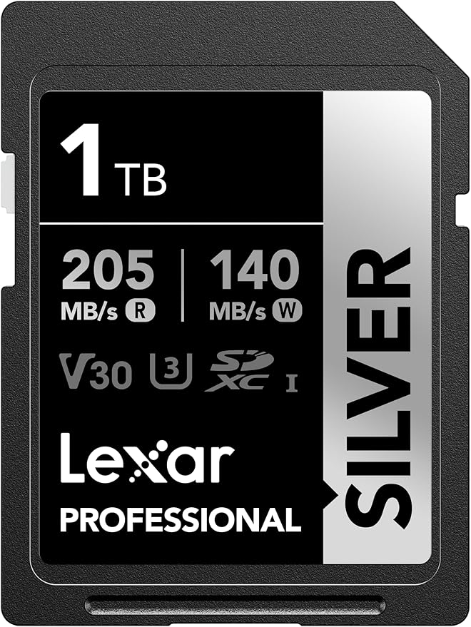 Lexar 1TB Professional Silver SD Card, by Lexar