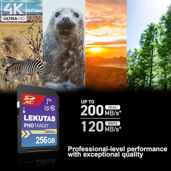 256GB SDXC UHS-I Memory Card - Image 2