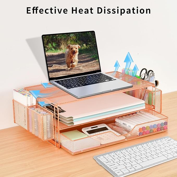 AUPSEN Computer Monitor Stands Riser，2-Tier Desk Organizers and Accessories - Image 2