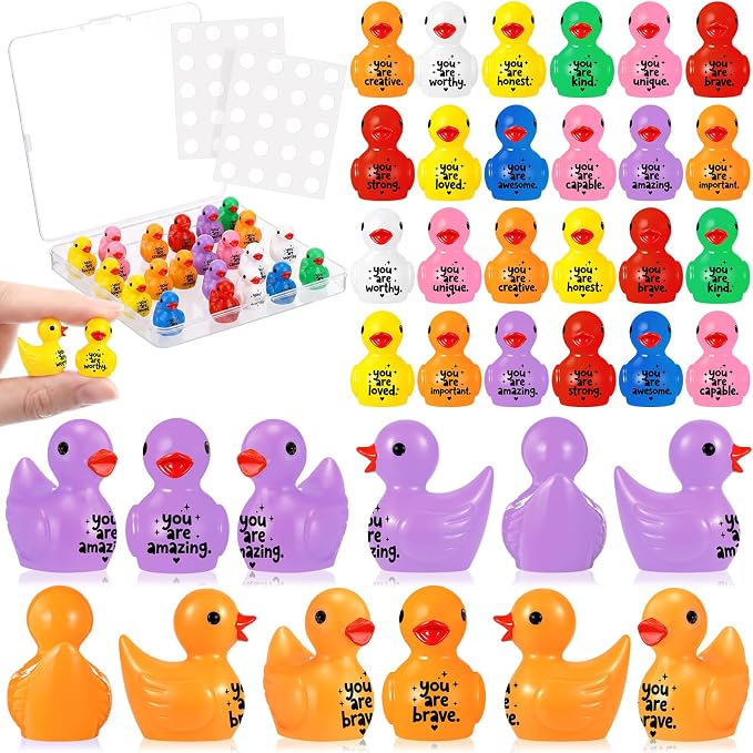 Skylety 24 Pcs Back to School Mini Resin Ducks by Skylety