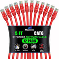 Maximm Cat 6 Ethernet Cable - 5 ft - High-Speed LAN by MaximmCable