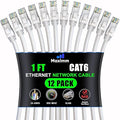 Maximm Cat 6 Ethernet Cable 1 ft by MaximmCable