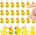 Skylety 25 Piece Happy Birthday Resin Ducks by Skylety