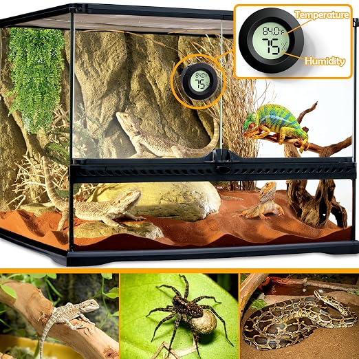 Reptile Tank Accessories, Jumping Spider, Leopard Gecko, Hermit Crab, Ball - Image 2