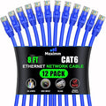 Maximm Cat 6 Ethernet Cable - 8 ft - High-Speed LAN by MaximmCable